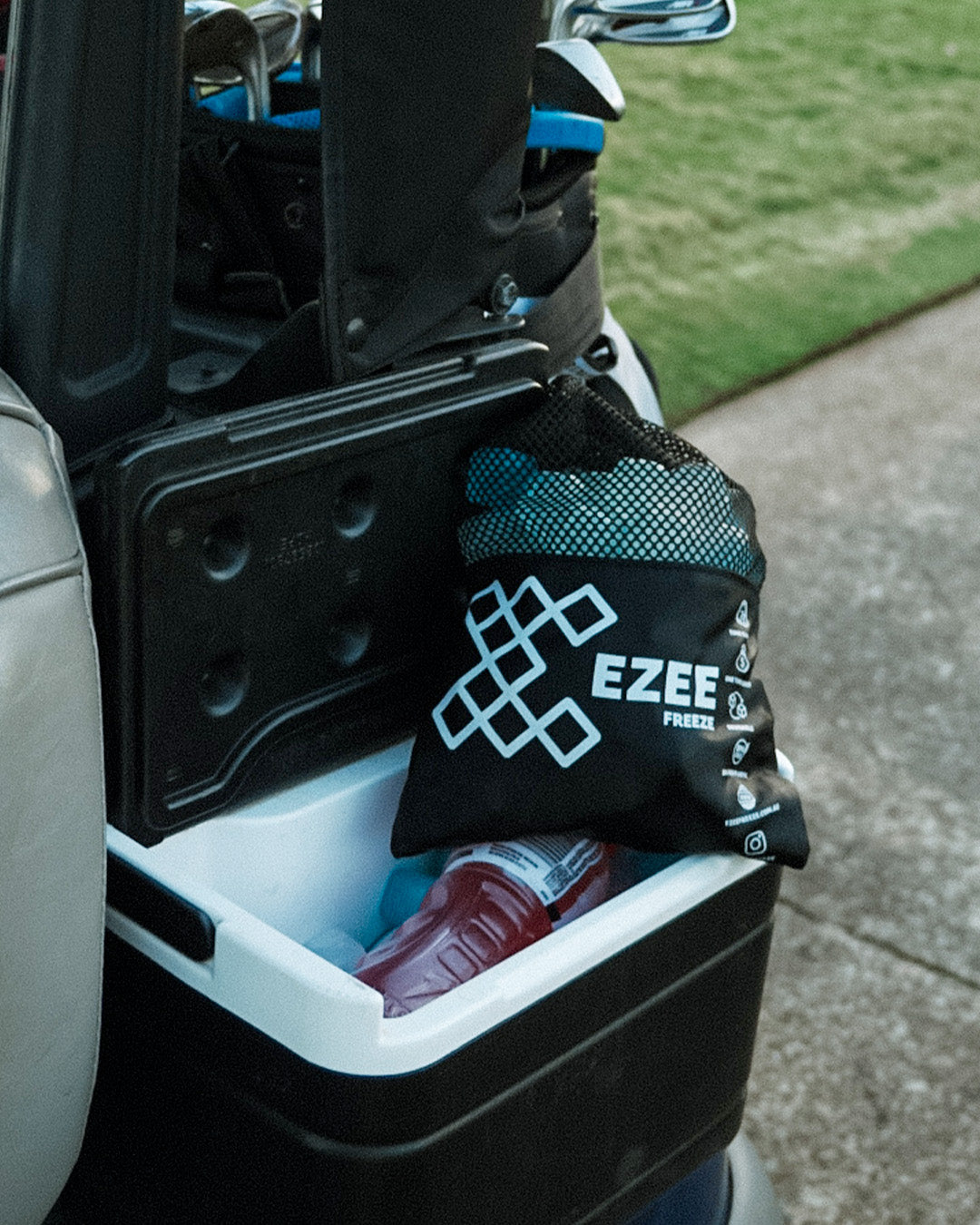 Mini Freeze | Blue Ice | 3.5lb Black Bag